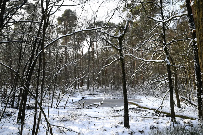 20190123 achtmaal jst0089 g