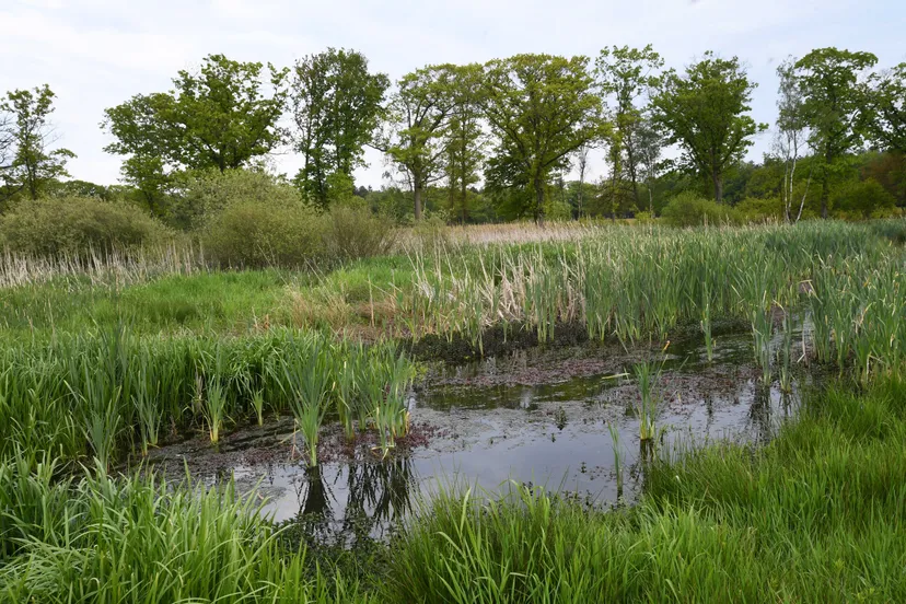 20200623 visitbrabant 20190510 alphen landgoed de hoeven jst4178