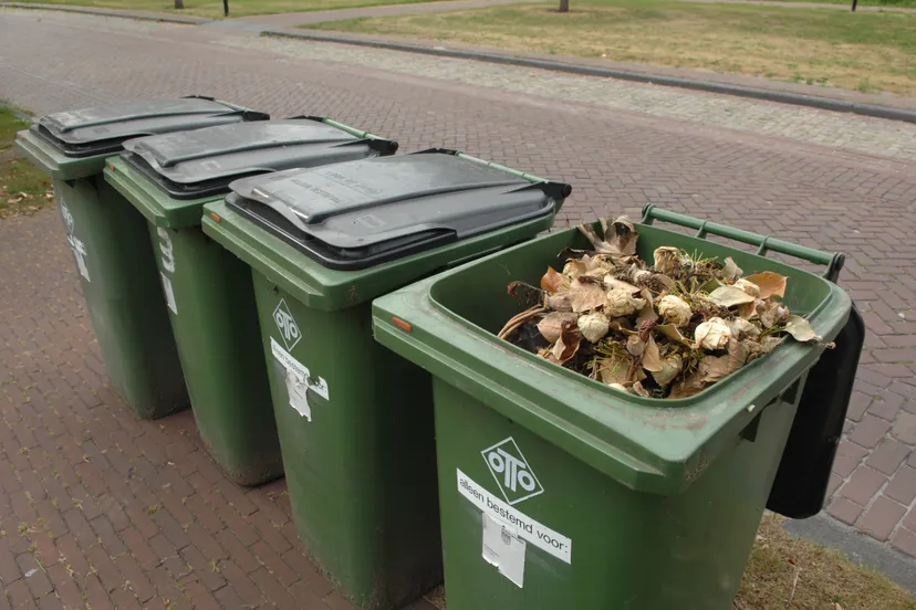 20200624 voorkom maden in groenbak 20130805 kaatsheuvel jst9628