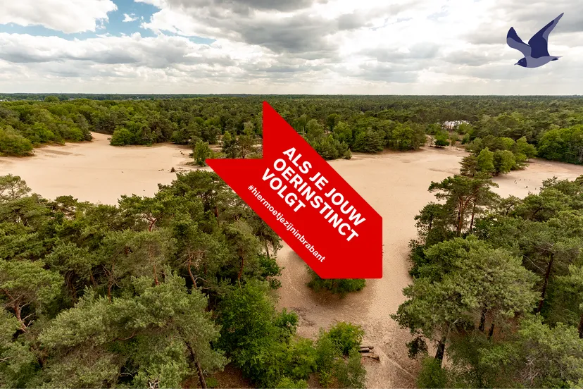 20200626 visitbrabantcampagne als je jouw oerinstinct volgt campagnebeeld pb