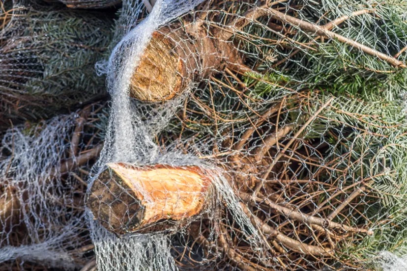 20201207 kerstboomnet vaf