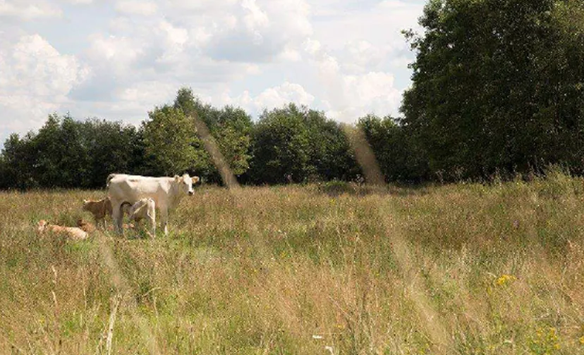 20210416 onderzoek gac