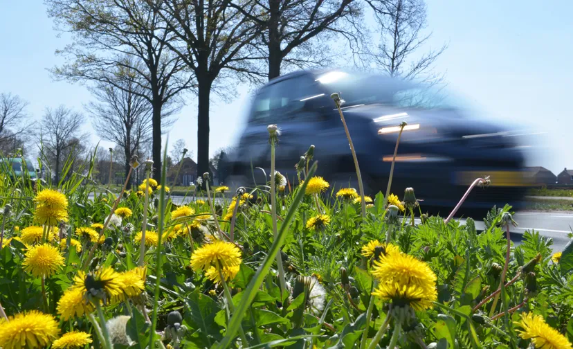 20210428 bio berm jca