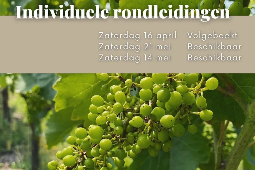 277654590 4879143158801091 751996415048611072 n