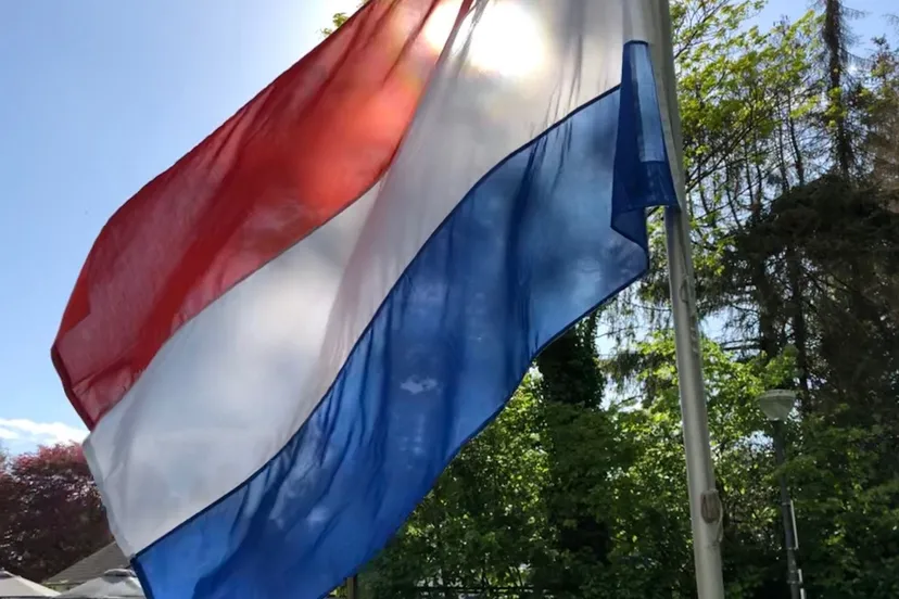 307427715 401103885528563 8163375022976234584 n