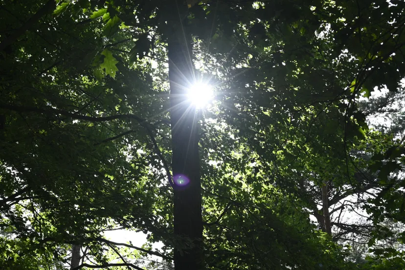 310227593 6108675055812483 8569998200255891182 n