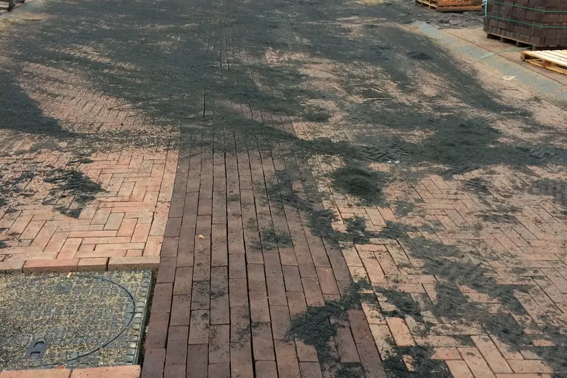 311009744 423569853281966 6888691230354839934 n