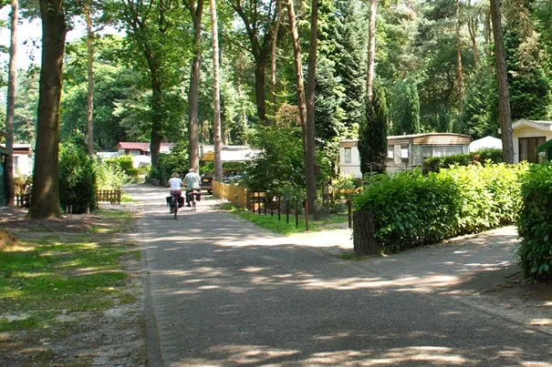 342332176 612161623858584 7425086242040358136 n 1