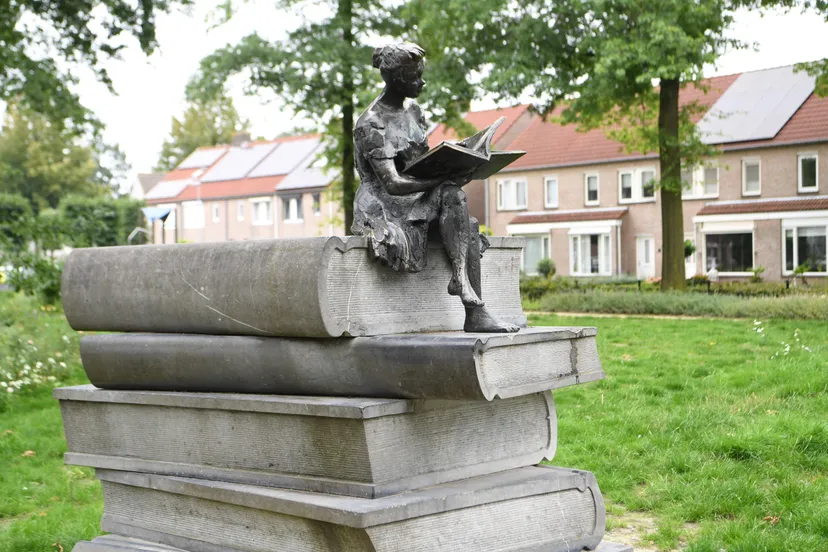 99118 20230817 goirle jst5602 5568x3712