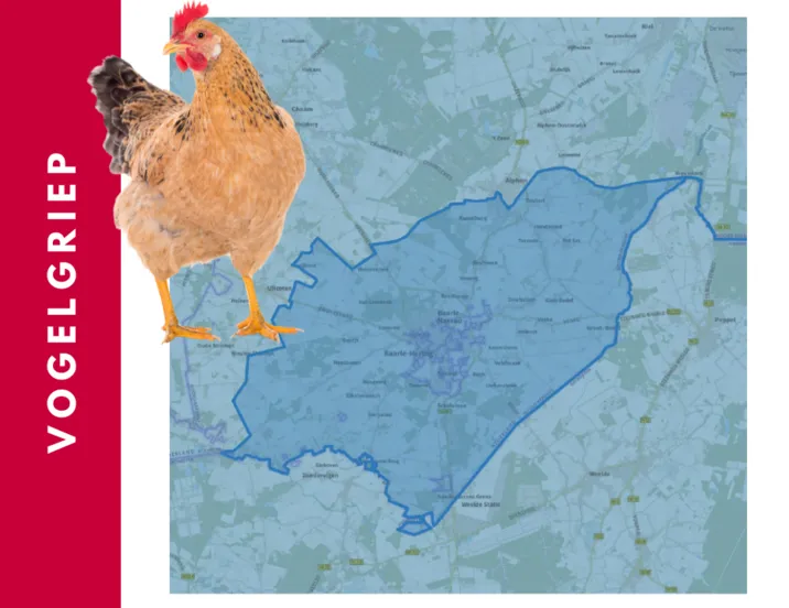 csm ac vogelgriep ce736305e9