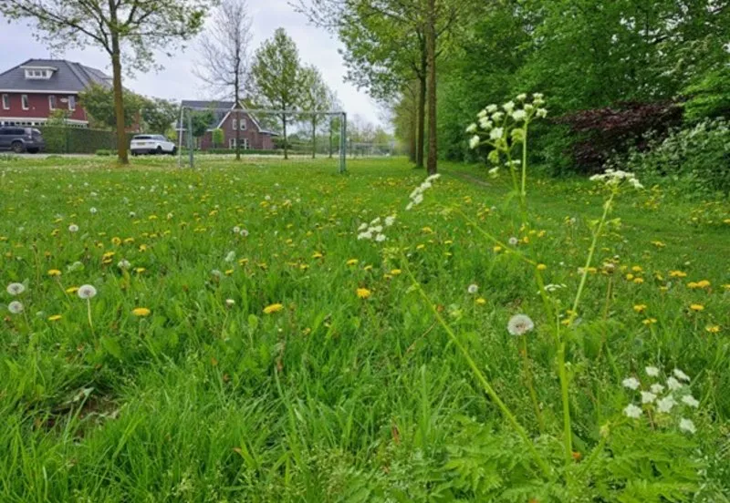 csm alphen cb5c8c9a05