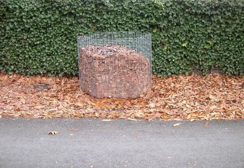 csm bladkorven 80ffcf28d2