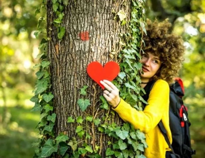 csm boom van het jaar 1 3df8bfe527