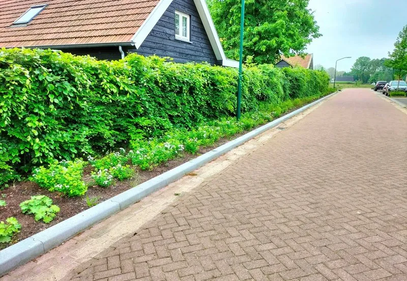 csm de peel1 aca77fa8bc