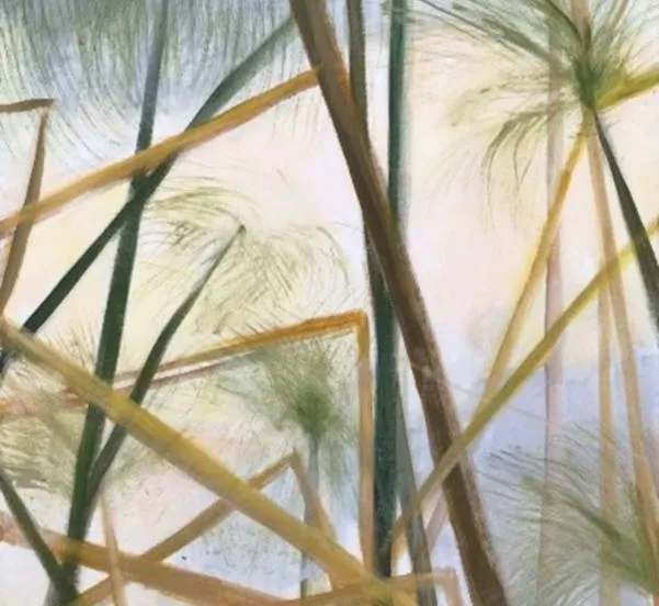 csm expositie dorothe a4a63f9b46