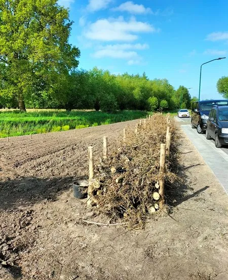 csm natuurgebied altena chaam 1 9f49f3f8ca