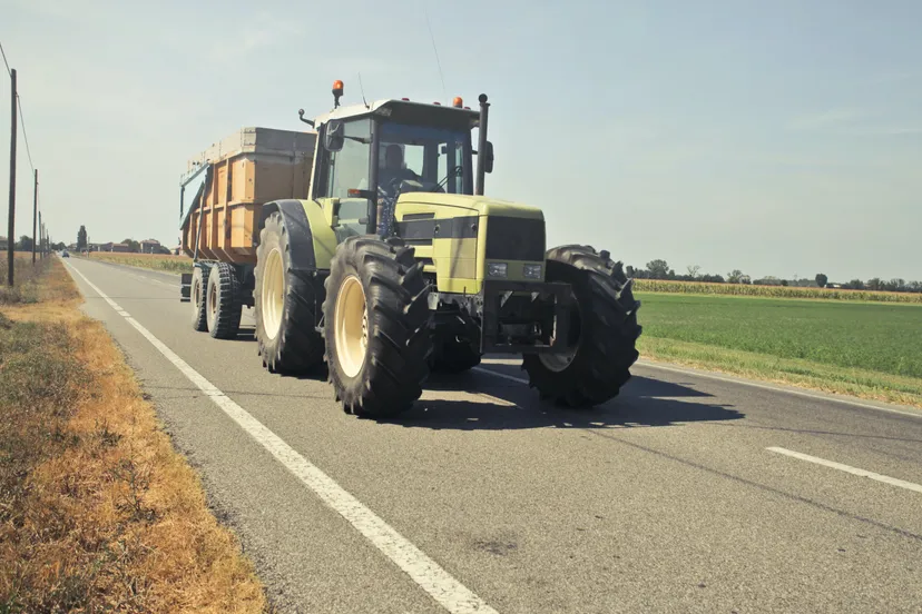 pexels andrea piacquadio 771146