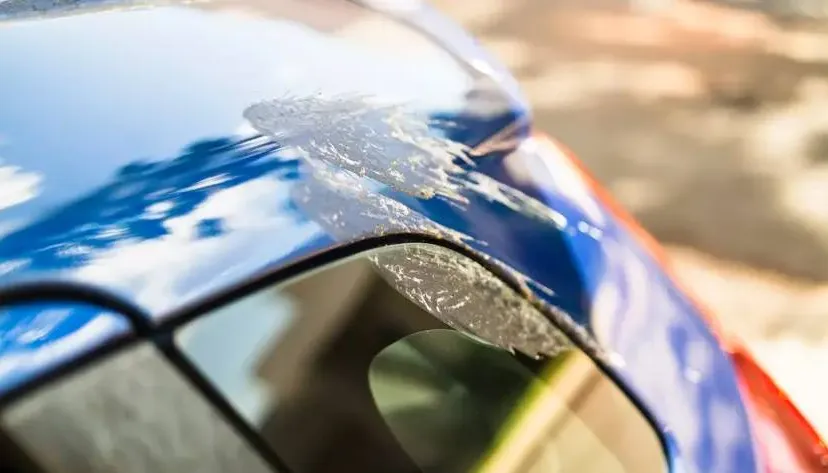 gettyimages 1459159790jpg