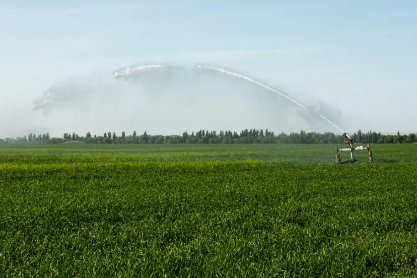 Schermafbeelding 2026-07-19 103229