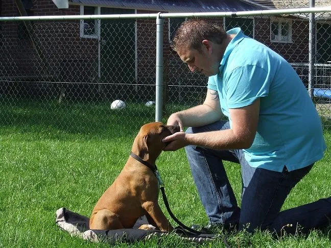 10154894 692074534163391 4148674975868809137 n