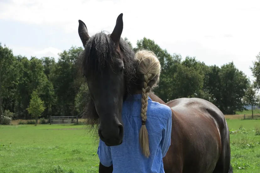 10428285 197689703737876 7005484866007657700 o