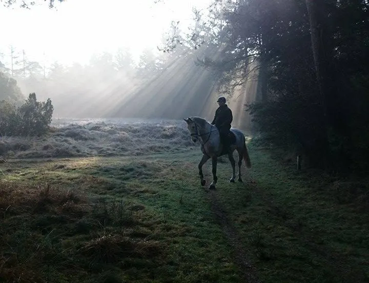 10994801 939505389416134 865874586 n 1