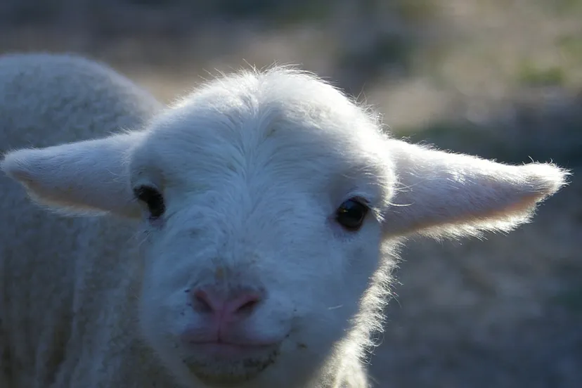 1404637110 40967e2307 b