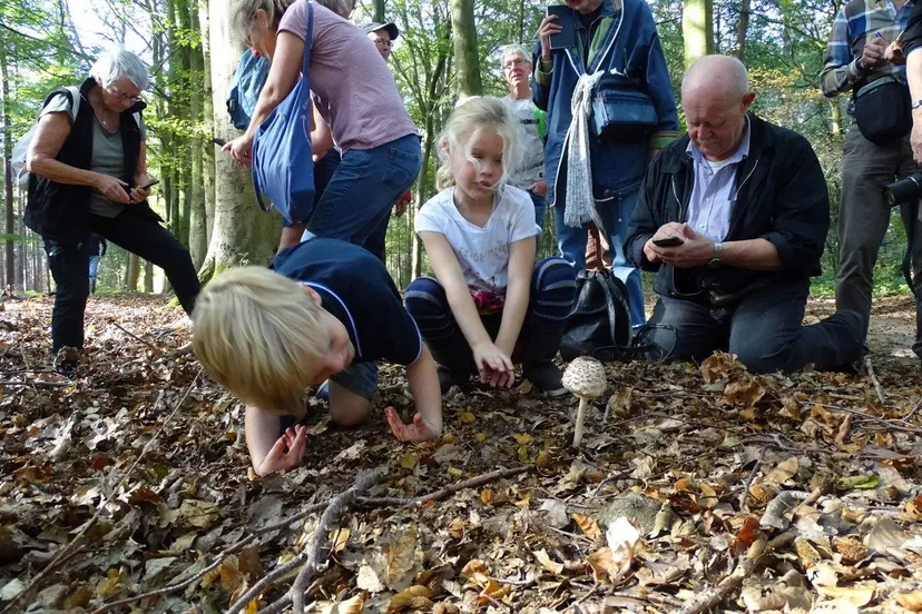 2 dsc00430 zit er ook een kaboutertje onder de knolparasolzwam