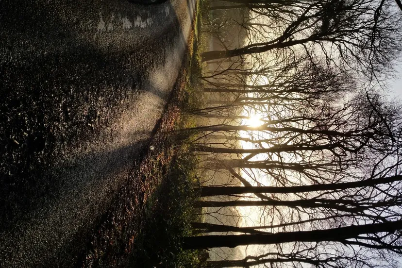 20160123 092619 medium e1453661513389