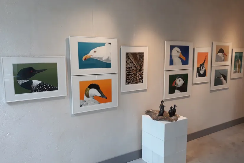 201901 bevlogen c wildschutservenl