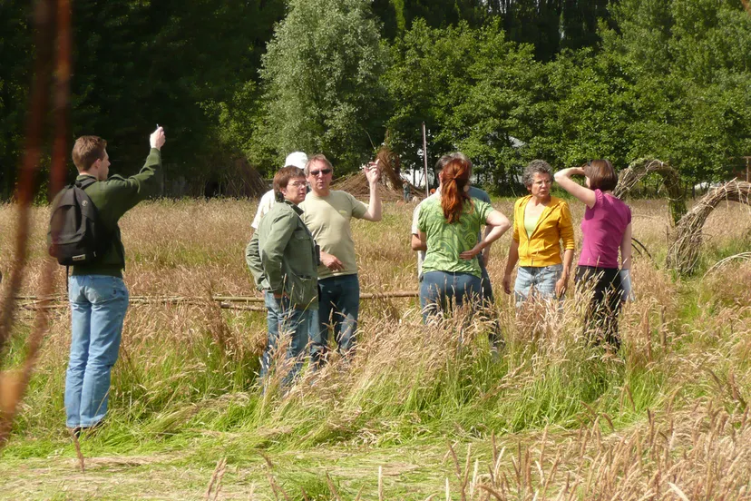 2608088584 654b3724fb b