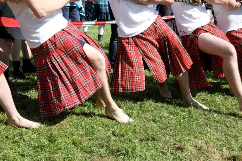 308642 450645208358219 1773412514 n