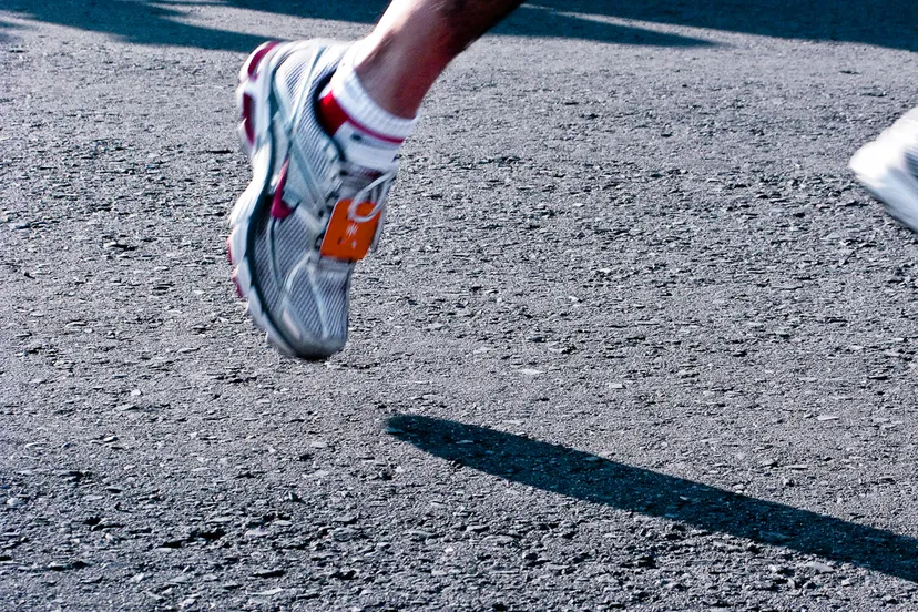 4532391988 207a1e18d5 o