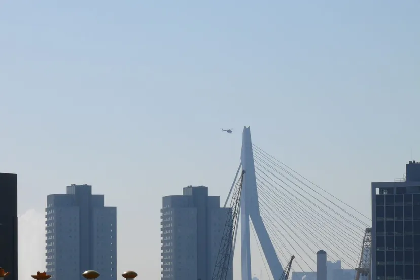 460148480 1d884126e2 o