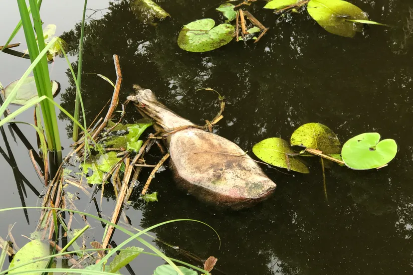 48d30883 163b 40ca b0ad aa9799537254