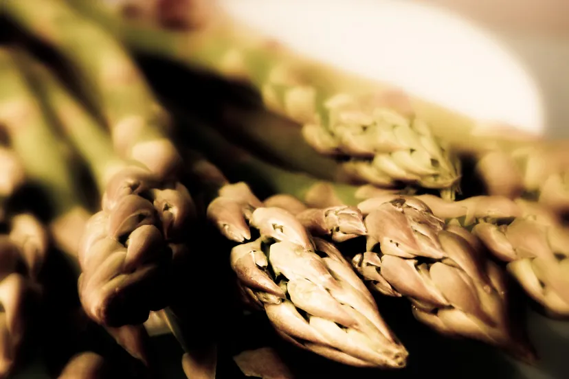 5649127352 bdfd59cb1a o