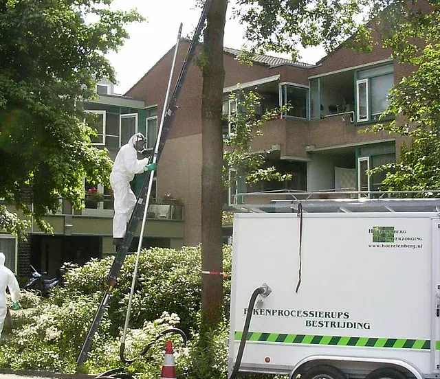 640px bestrijdingeikenprocessierups01