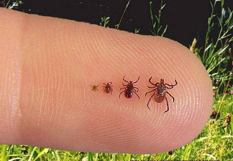 7209178448 44faa728e5 c