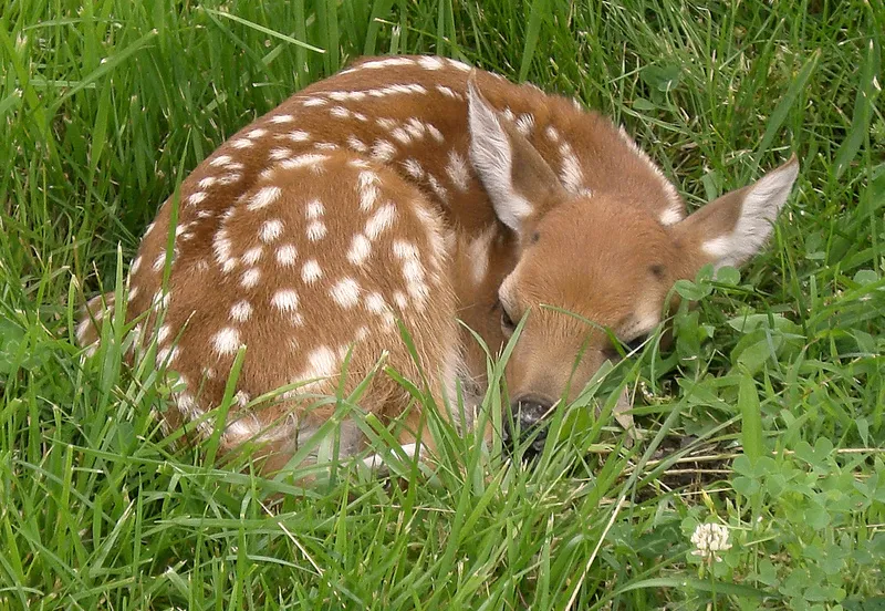 7394208668 719db023b0 c