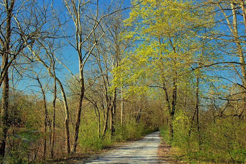 8687993452 11b35350af c