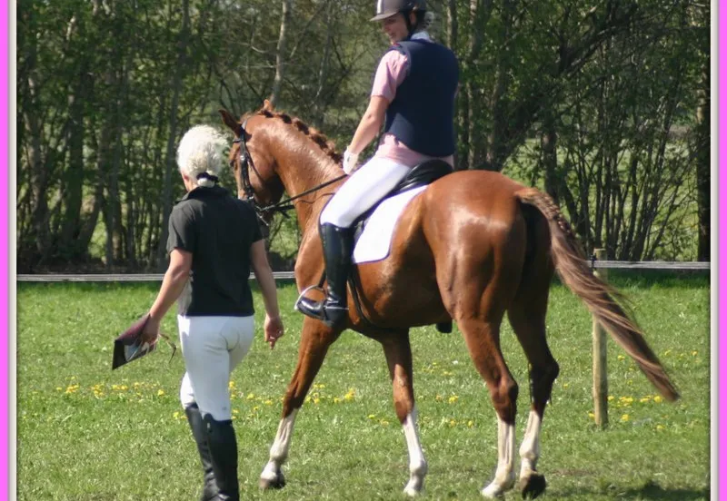 941549 449673228455381 1469966084 n