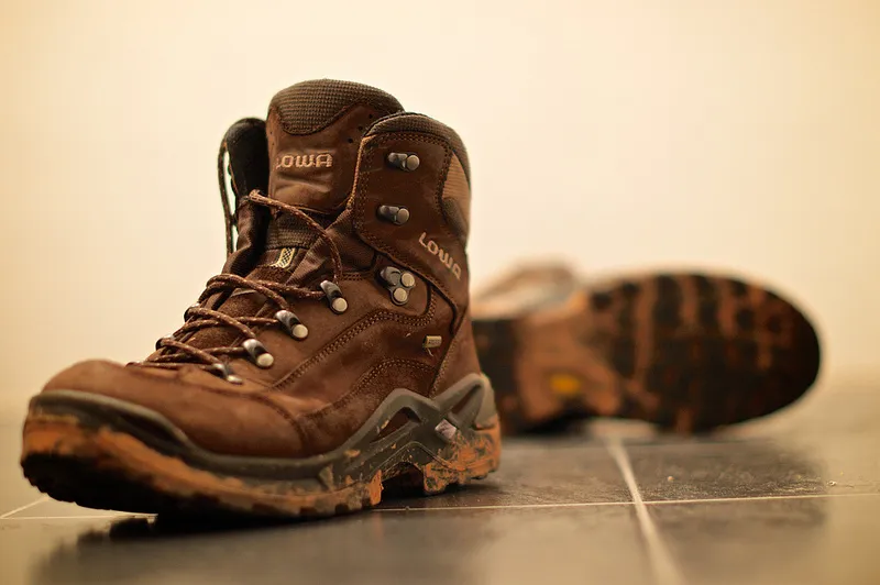 aul rysz foter cc by