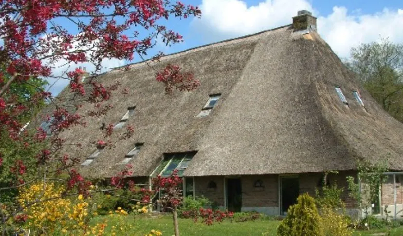 balkbrug kruidenhoeve