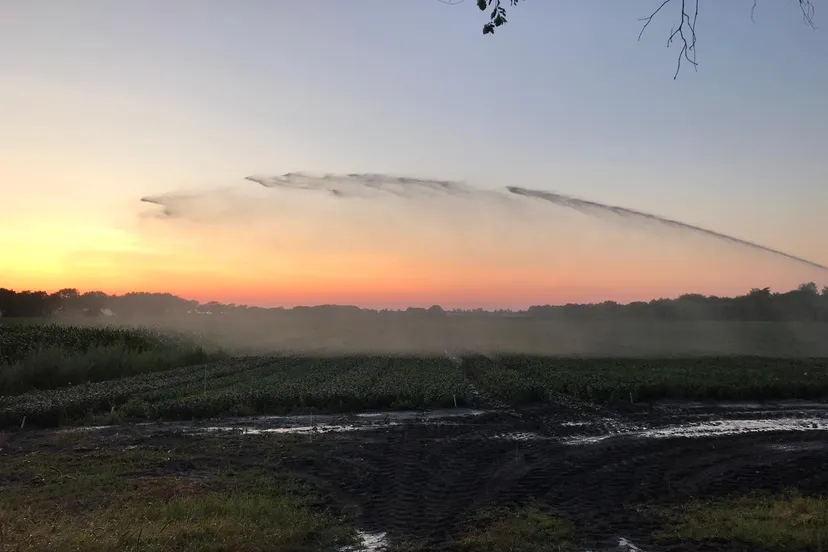 beregenen in de avond 2