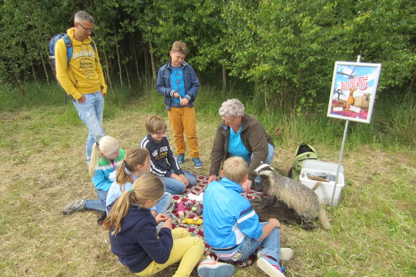 big five bezoekerscentrum ruinen