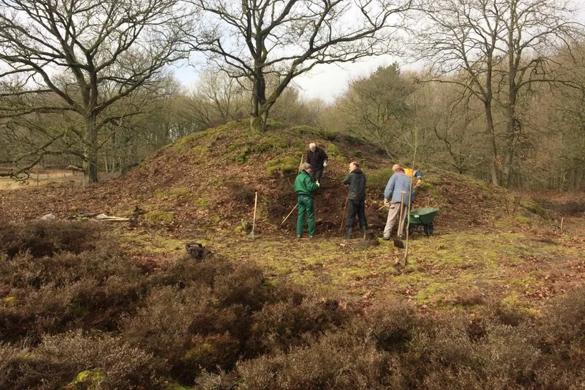 bijenwerk foto stefan pronk 002