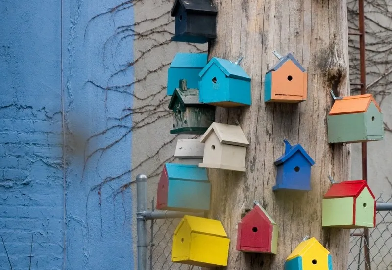 bird houses 20071230 10d 46705 sml
