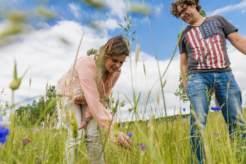 bloeiende akkers rene koster
