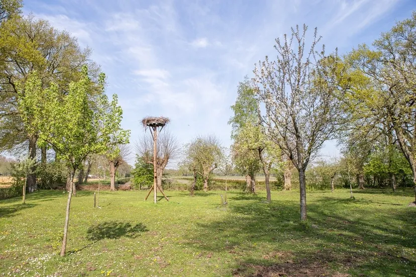 boomgaard zuidwolde foto rianne post