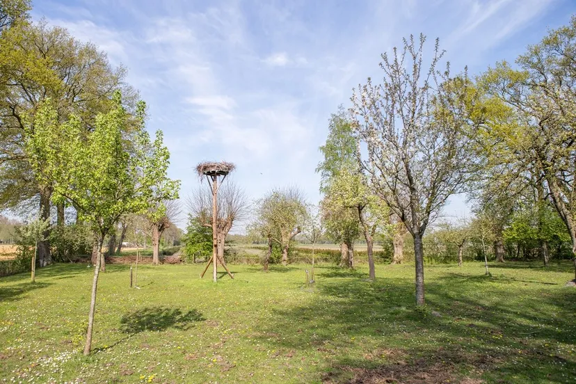 boomgaard zuidwolde foto rianne post